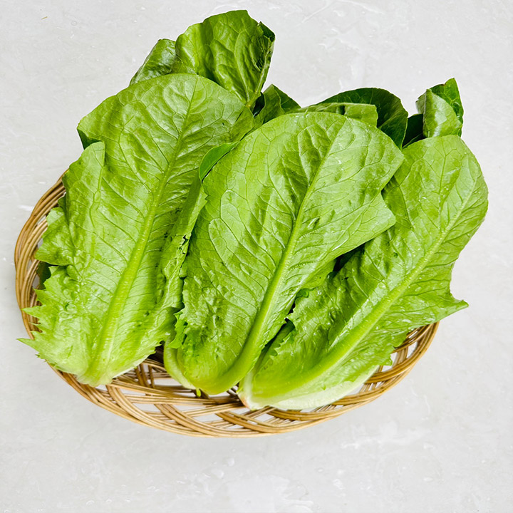 통로메인 상추 쌈채소 유럽샐러드 통로메인 상추 1kg 2kg