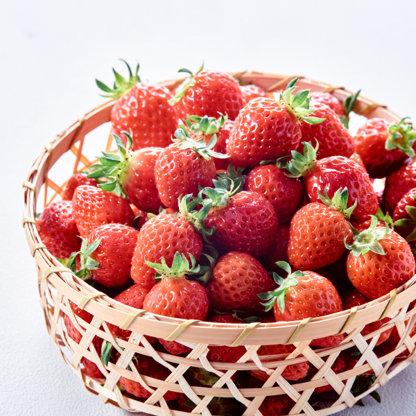 [한정수량] 무농약 4℃ 한입 딸기 (1kg)