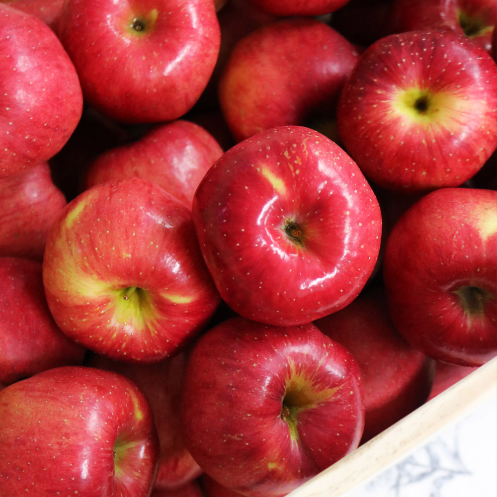 경북 달콤한 사과 2kg 4kg 대표이미지 섬네일