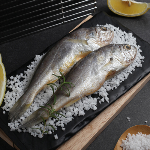 [영광법성포 참굴비] 참굴비 모음전[10미/20미/40미]