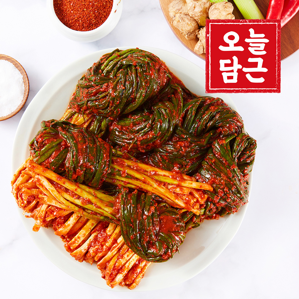 [오늘담근] 전라도 파김치 1kg ~ 5kg 대표이미지 섬네일