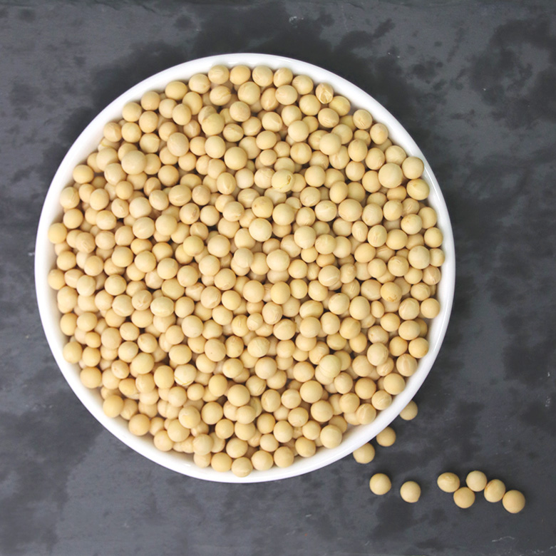 국산 내먹 백태콩 콩나물 콩 500g
