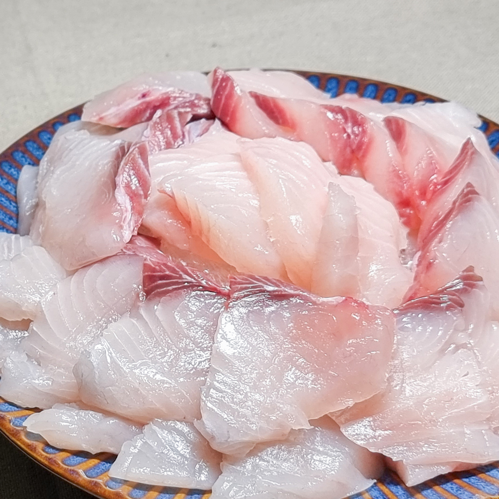 삼치회 여수 나로도 대삼치 600g 1.5kg