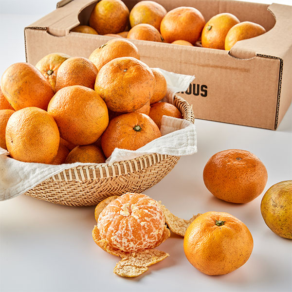 무농약 노지밀감, 2L/박스 대표이미지 섬네일