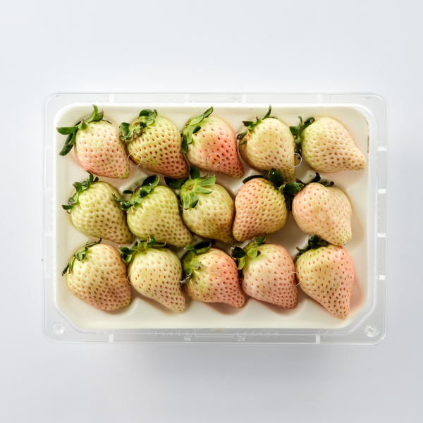 [유명산지] GAP 신데렐라 딸기*500g
