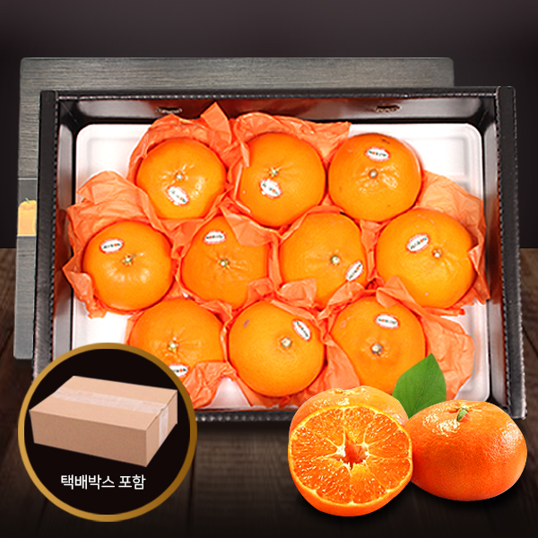 당도선별 고품질 제주 한라봉/천혜향/레드향/레드한라봉 선물세트