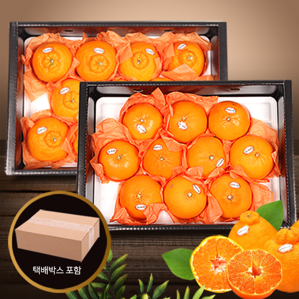 당도선별 고품질 제주 한라봉/천혜향/레드향/레드한라봉 선물세트