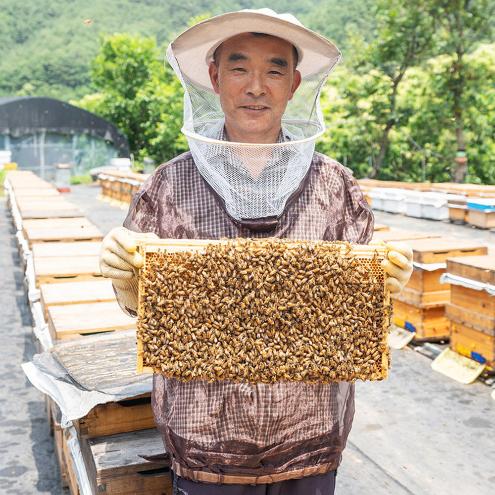 지리산 순수 천연벌꿀 1+ 등급 아카시아꿀 야생화꿀 잡화꿀 밤꿀