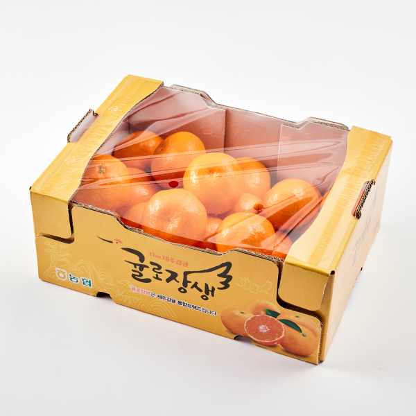 GAP*월동비가림감귤2.5kg(L-2L)