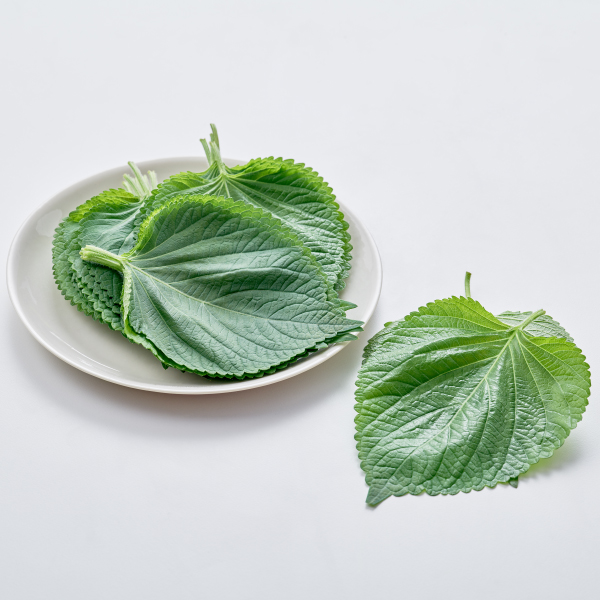 깻잎 (40g 또는 30장)/무농약