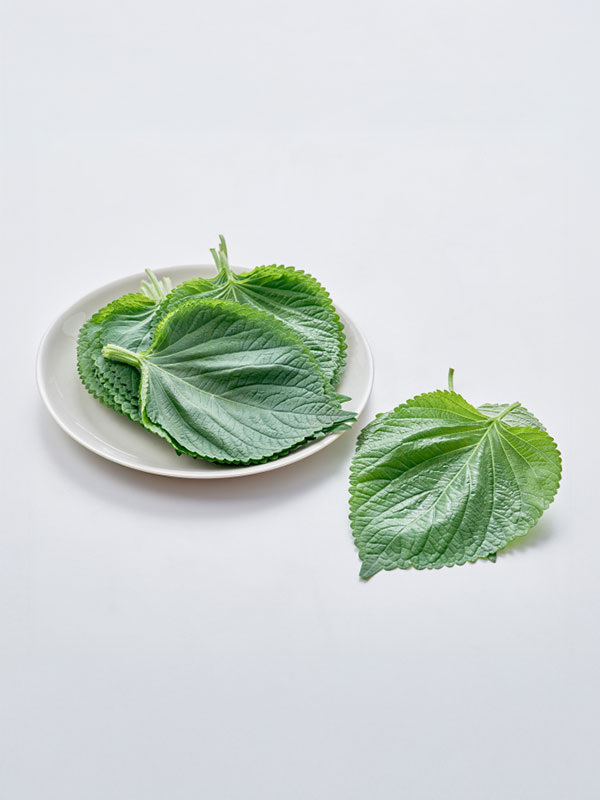 깻잎 (40g 또는 30장)/무농약