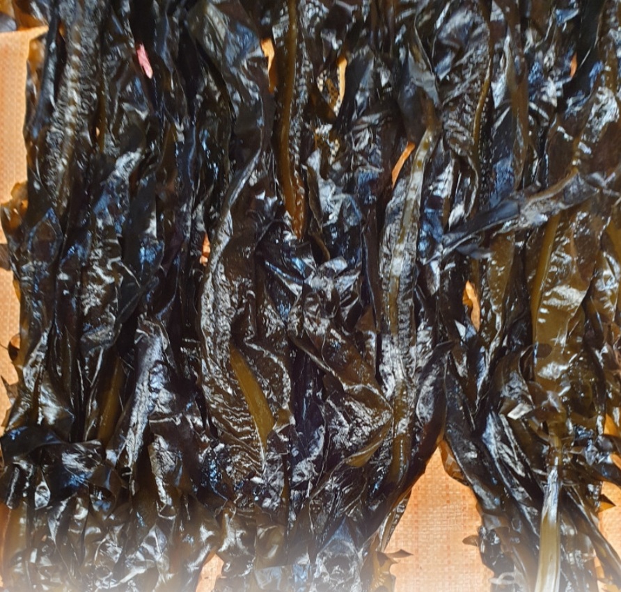 동해바다 살아있는 생미역1kg