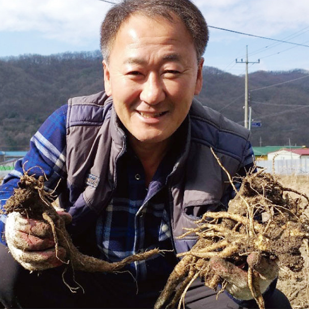 국내산 수제 도라지 정과 선물세트 500g (보자기포장/노리개 제외) 3년근이상 약도라지