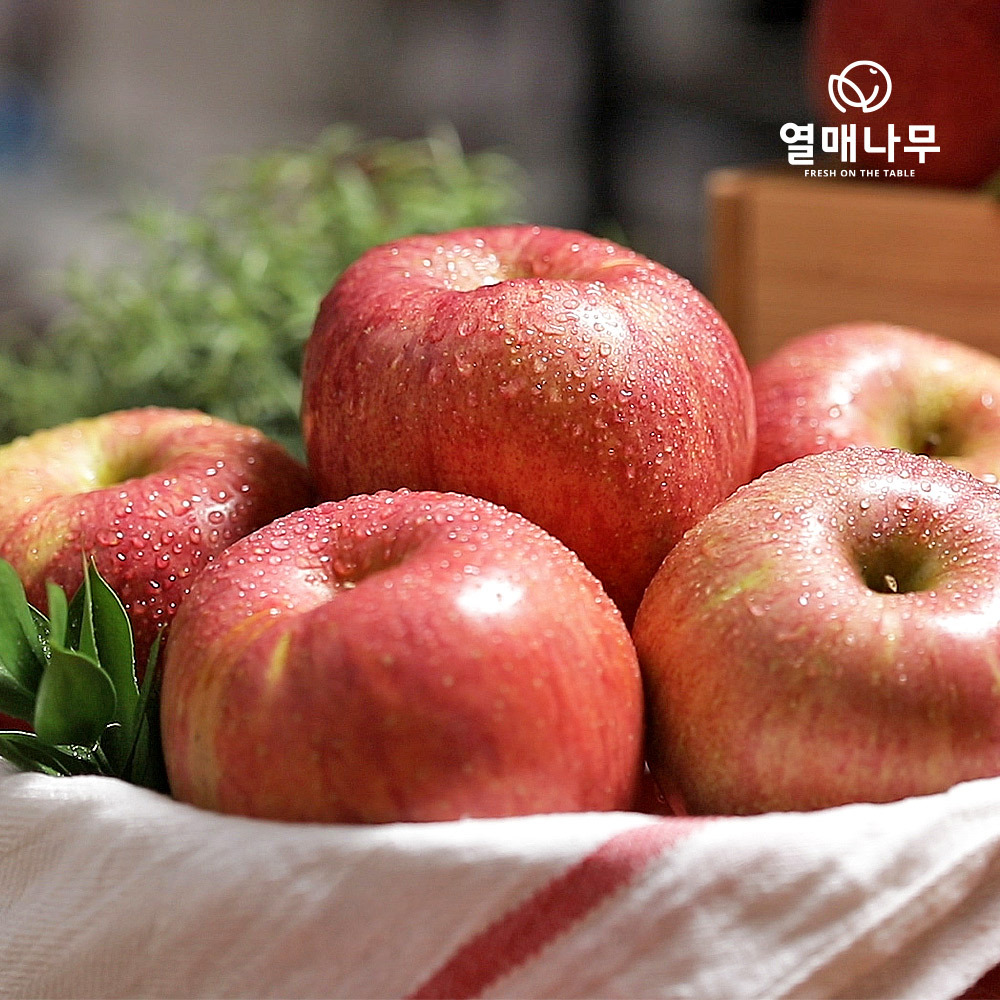 [열매나무] 못난이 사과(부사) 2kg~