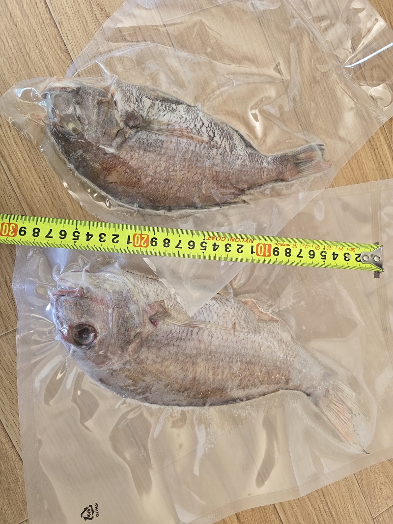 동해바다 해풍건조 완전손질 도미 참돔 2마리(26~30cm)도매 대방출