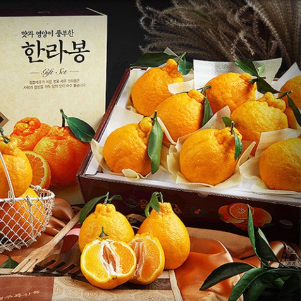 제주직송 고당도 한라봉 선물세트 2.5kg, 4.5kg(부직포가방 포함)