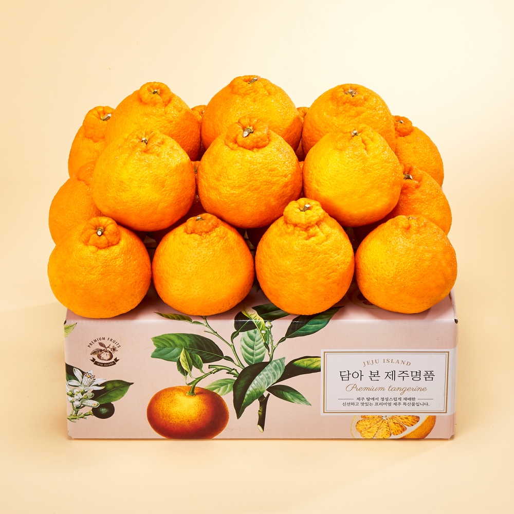 제주직송 고당도 한라봉 선물세트 2.5kg, 4.5kg(부직포가방 포함)