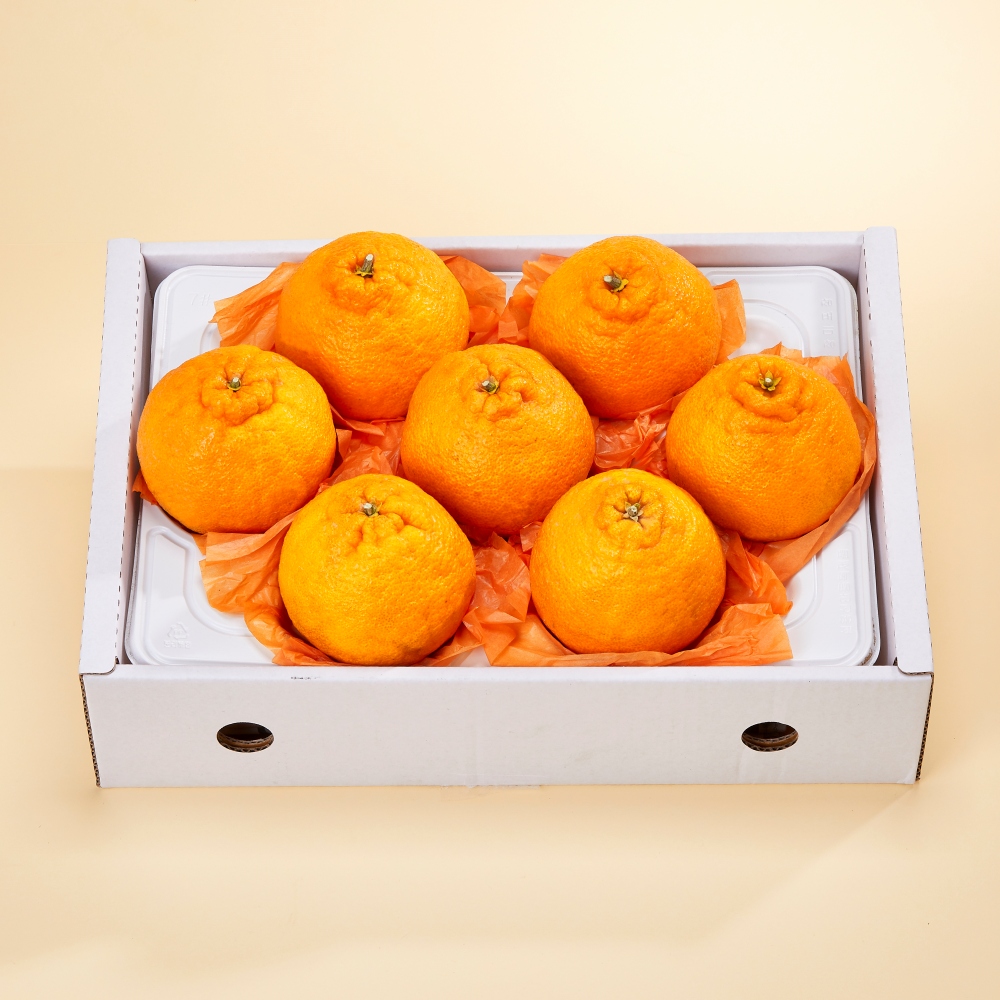제주직송 고당도 한라봉 선물세트 2.5kg, 4.5kg(부직포가방 포함)