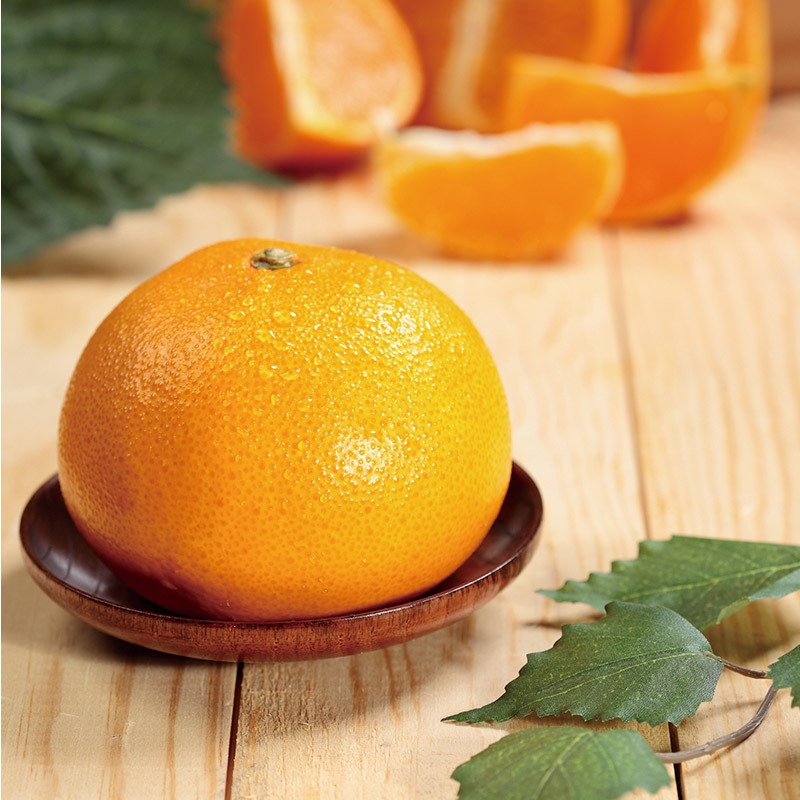 제주직송 고당도 천혜향 선물세트 2.5kg, 4.5kg(부직포가방 포함)