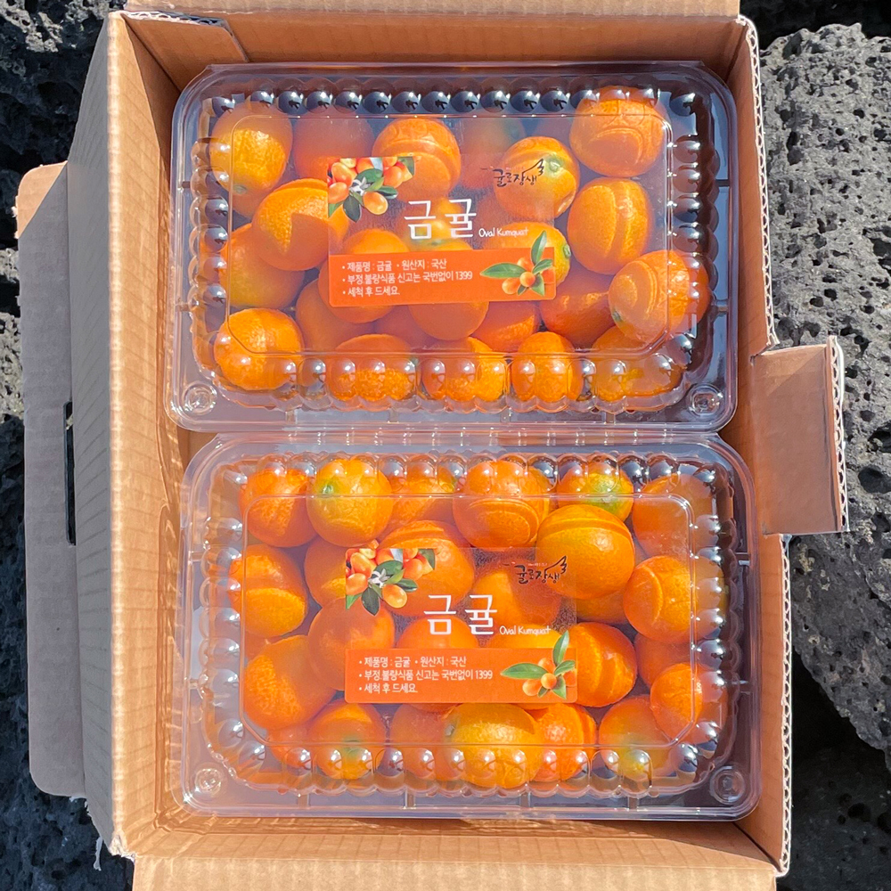 낑깡 제주 금귤 1.5kg 2.5kg 4.5kg