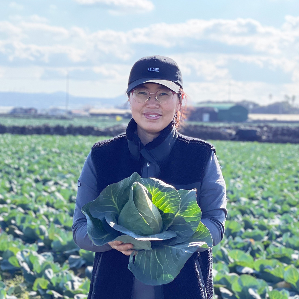 제주 고깔양배추 꼬깔양배추 3kg 5kg