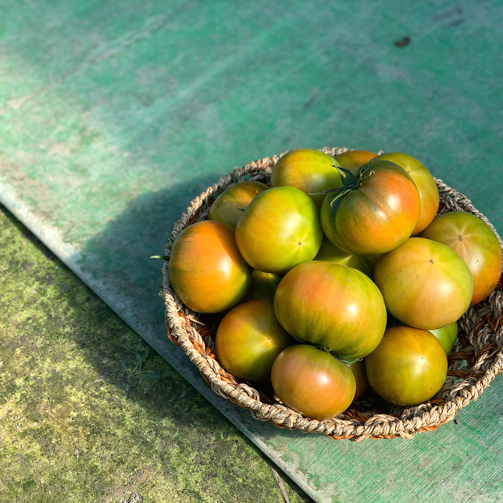 갑봉이네 대저 토마토 2.5kg 사이즈별