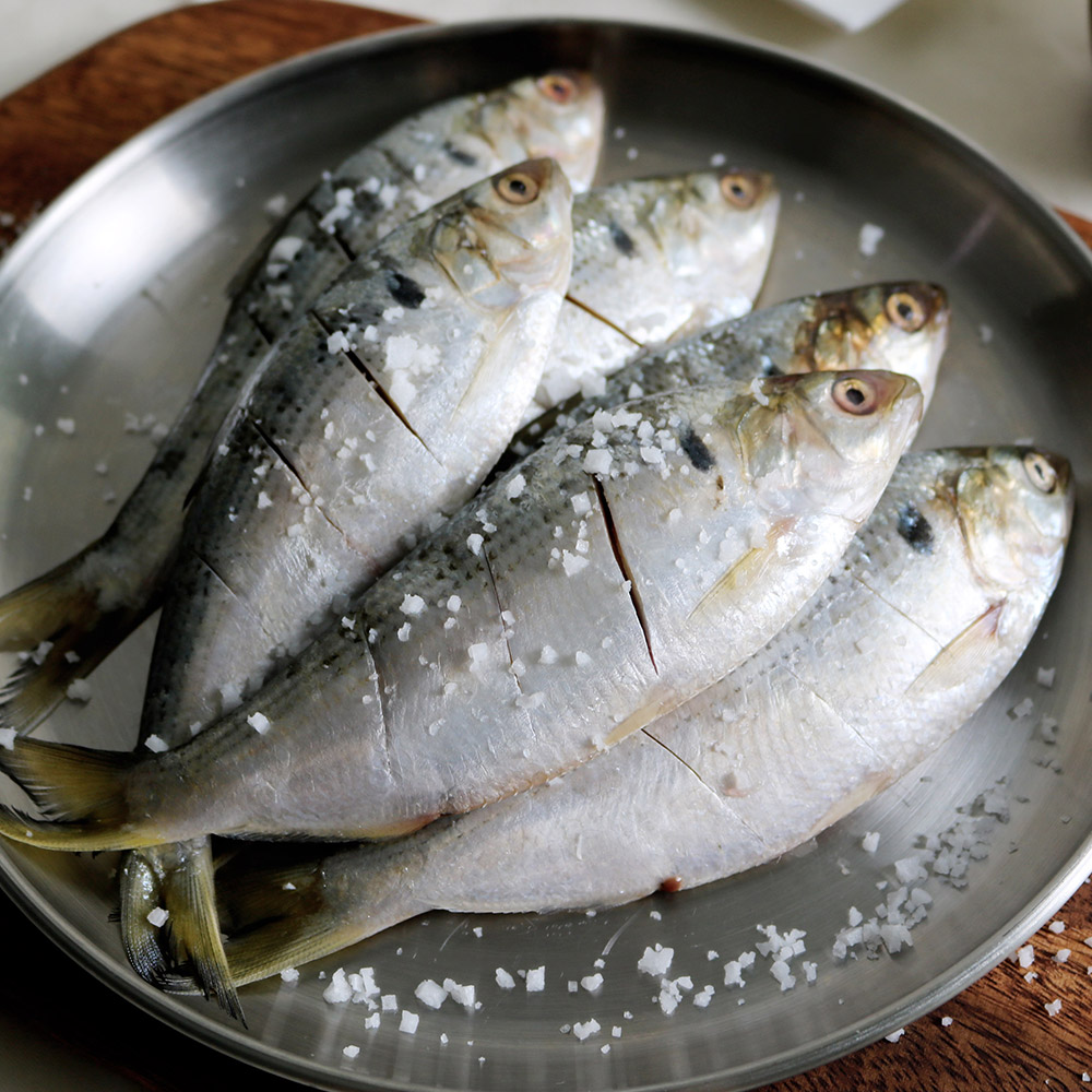 삼천포 자연산 전어 1kg 구이용