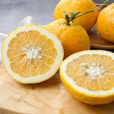 제주 하귤 5kg 10kg 대표이미지 섬네일