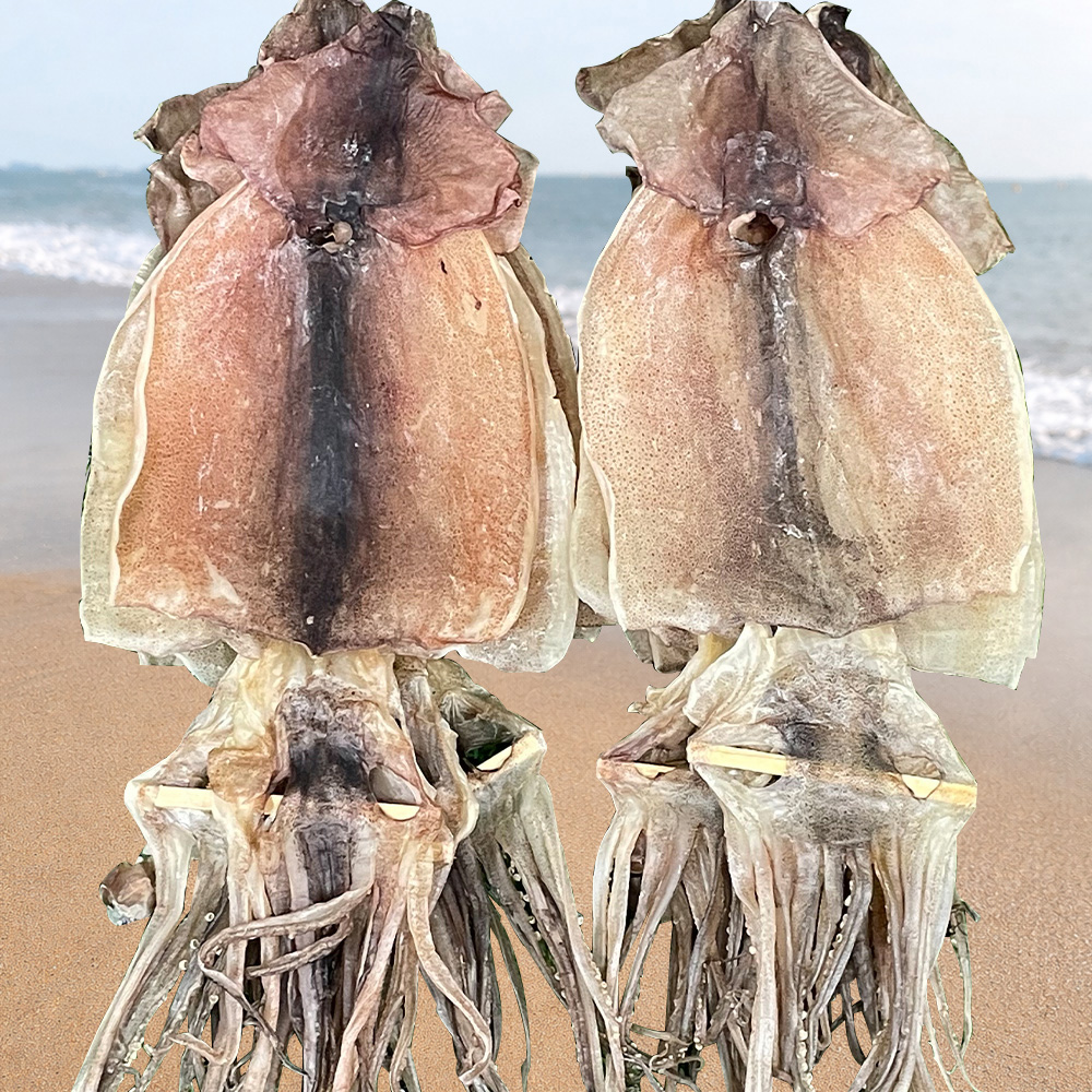 동해안 햇 마른오징어 소,중,대,파품 500g 600g 750g