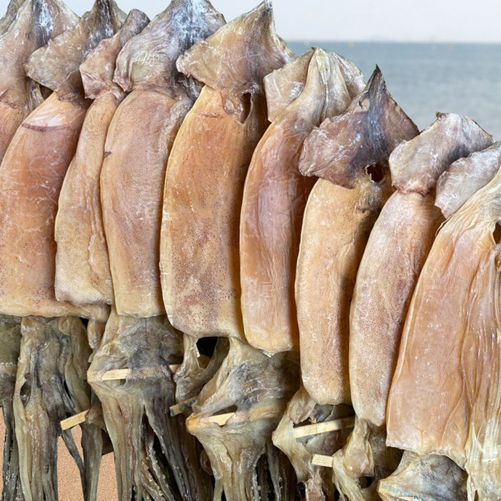 동해안 햇 마른오징어 소,중,대,파품 500g 600g 750g
