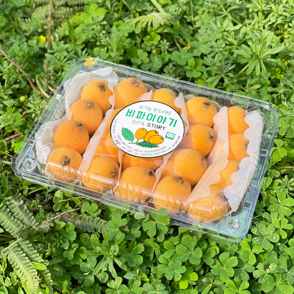 완도 비파 열매 생과 유기농 500g 1kg