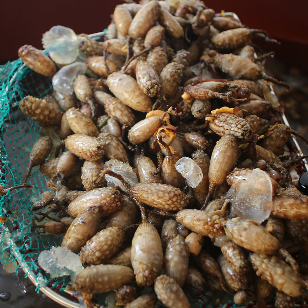 국내산 통영 자연산 손질 미더덕 500g 1kg