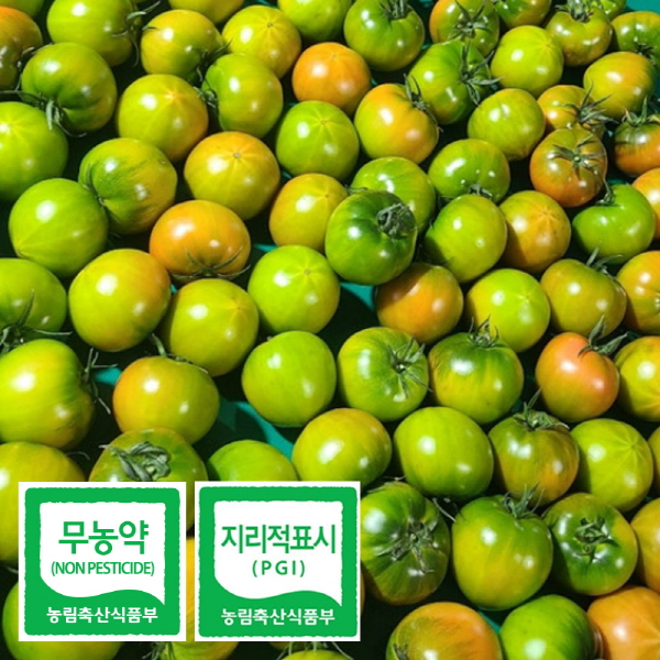 무농약 3대째 대저 짭짤이 토마토 2.5kg 소과 중과 부산 제철 과일