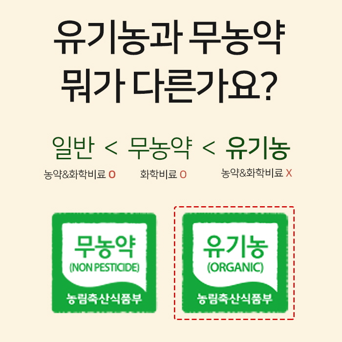 제주 오가닉스 유기농 양배추즙 (100mlx30포) NFC 저온착즙 100% 원액