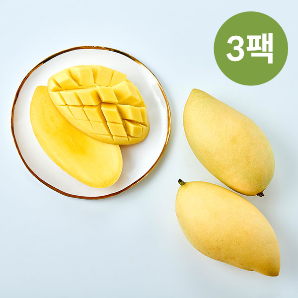 [3팩] 골드 망고 (2입/특+/700g 이상)