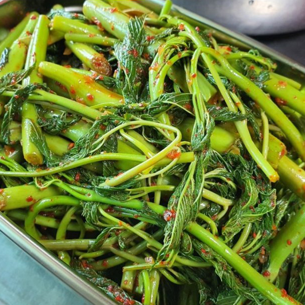 청정 강원도 고랭지 자연산 눈개승마 삼나물 산나물 1kg