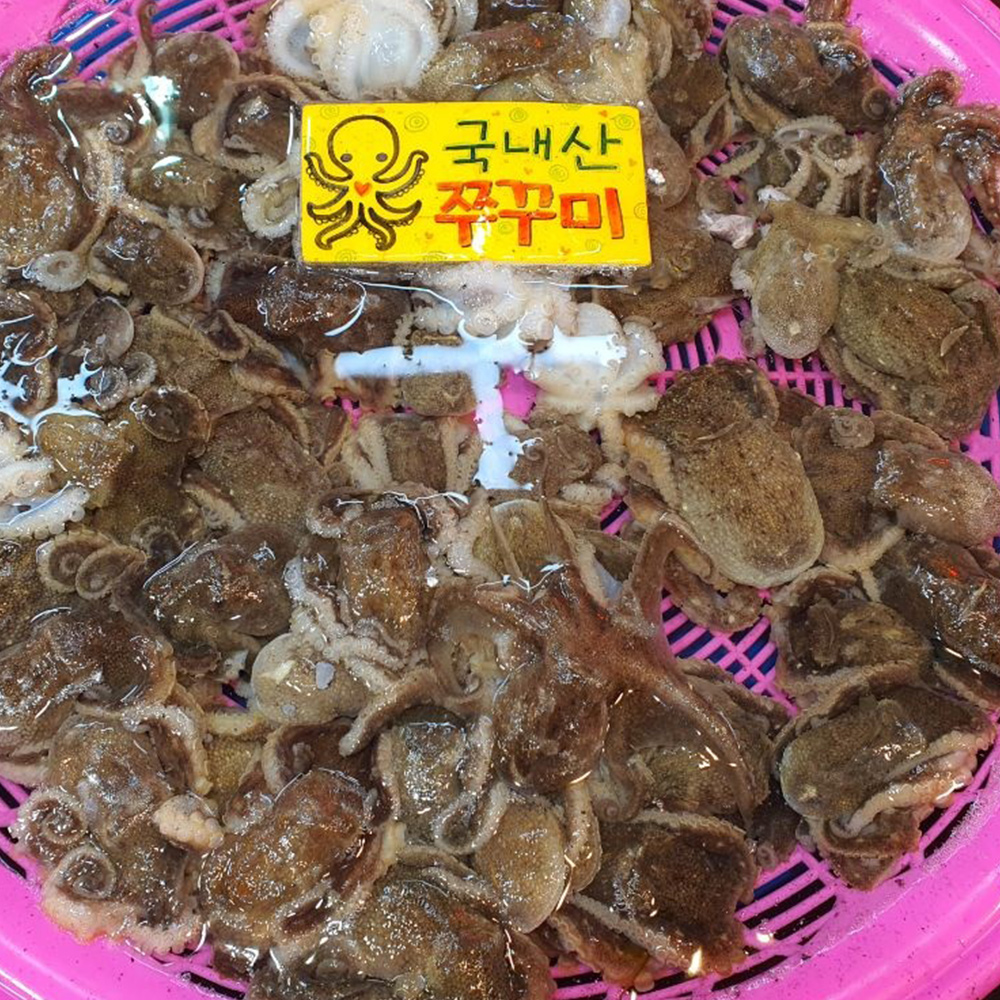 당일조업 국내산 제철 활 주꾸미 1kg 서해안 생물 쭈꾸미