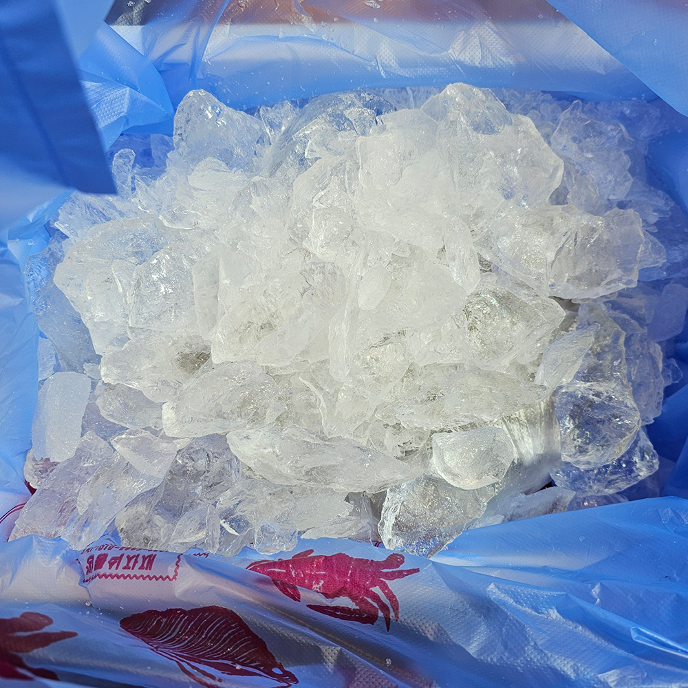 당일조업 국내산 제철 활 주꾸미 1kg 서해안 생물 쭈꾸미