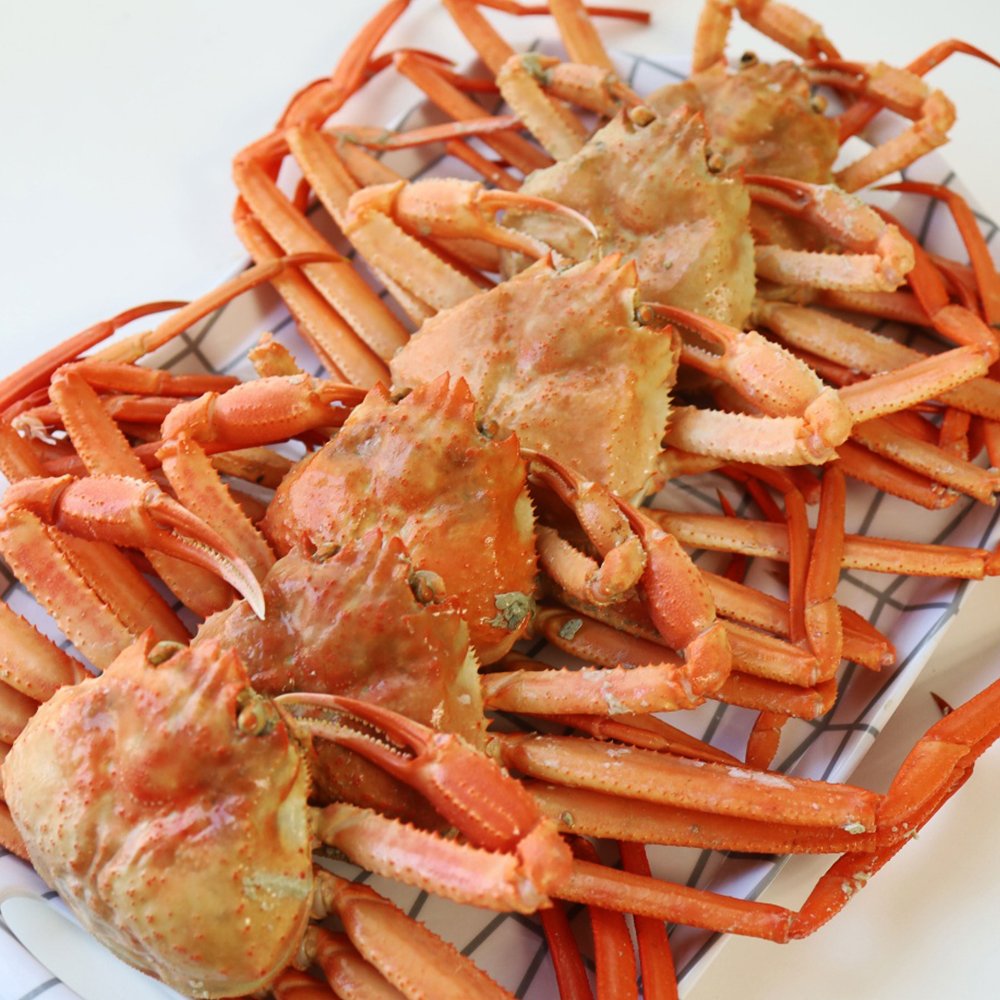 경북 포항 구룡포 직송 ! 자숙 홍게 8-12마리내외 대표이미지 섬네일