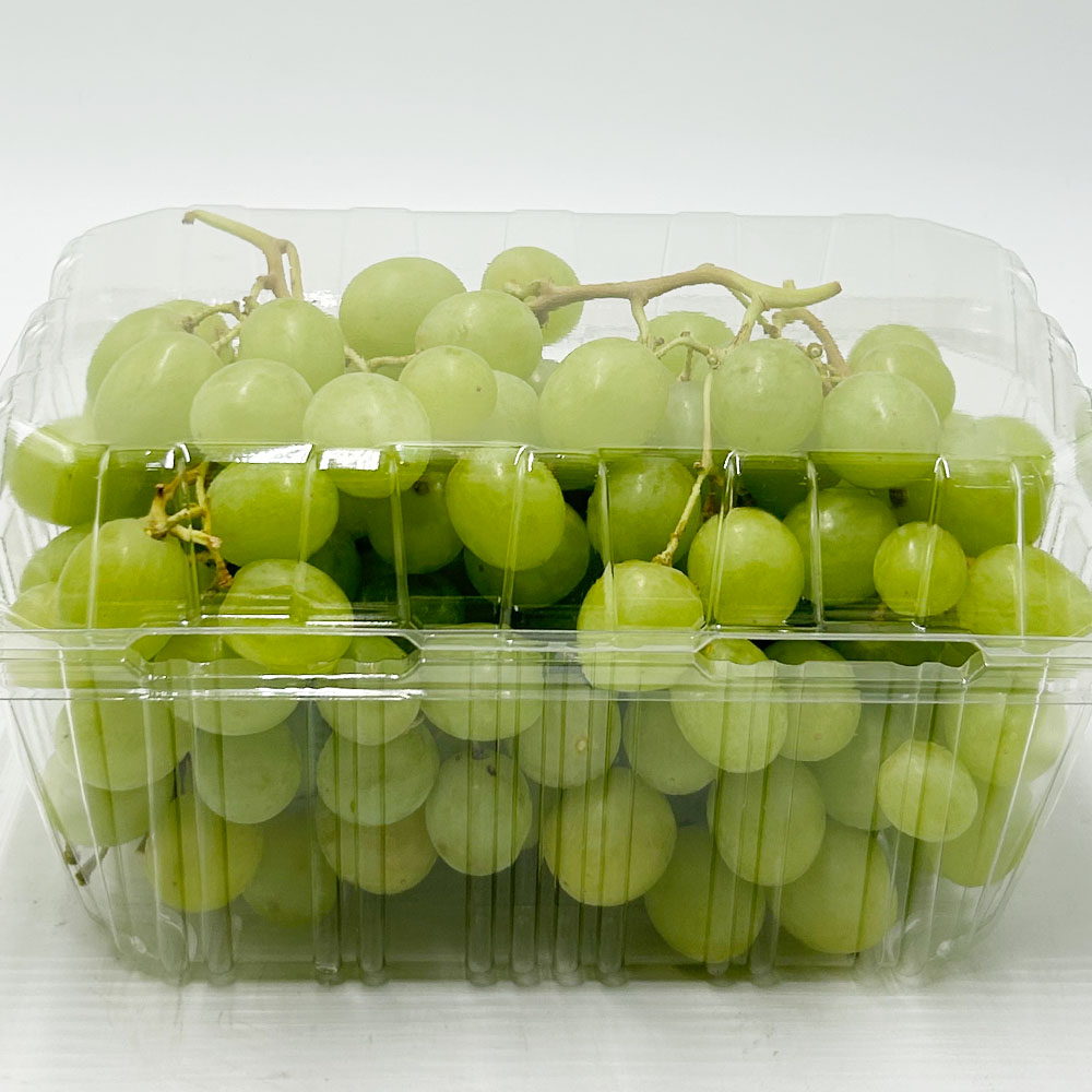 오톰크리스피 포도 씨없는 애플 청포도 1-4kg 