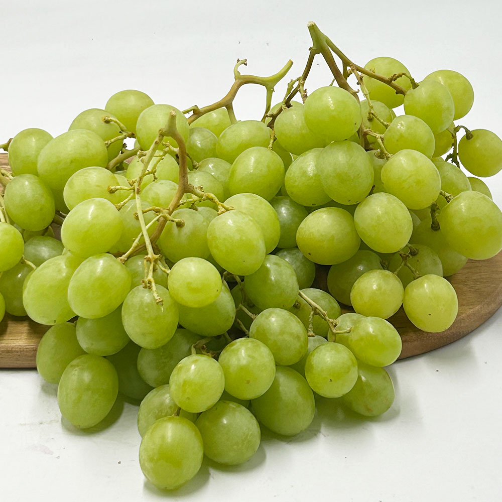 오톰크리스피 포도 씨없는 애플 청포도 1-4kg 