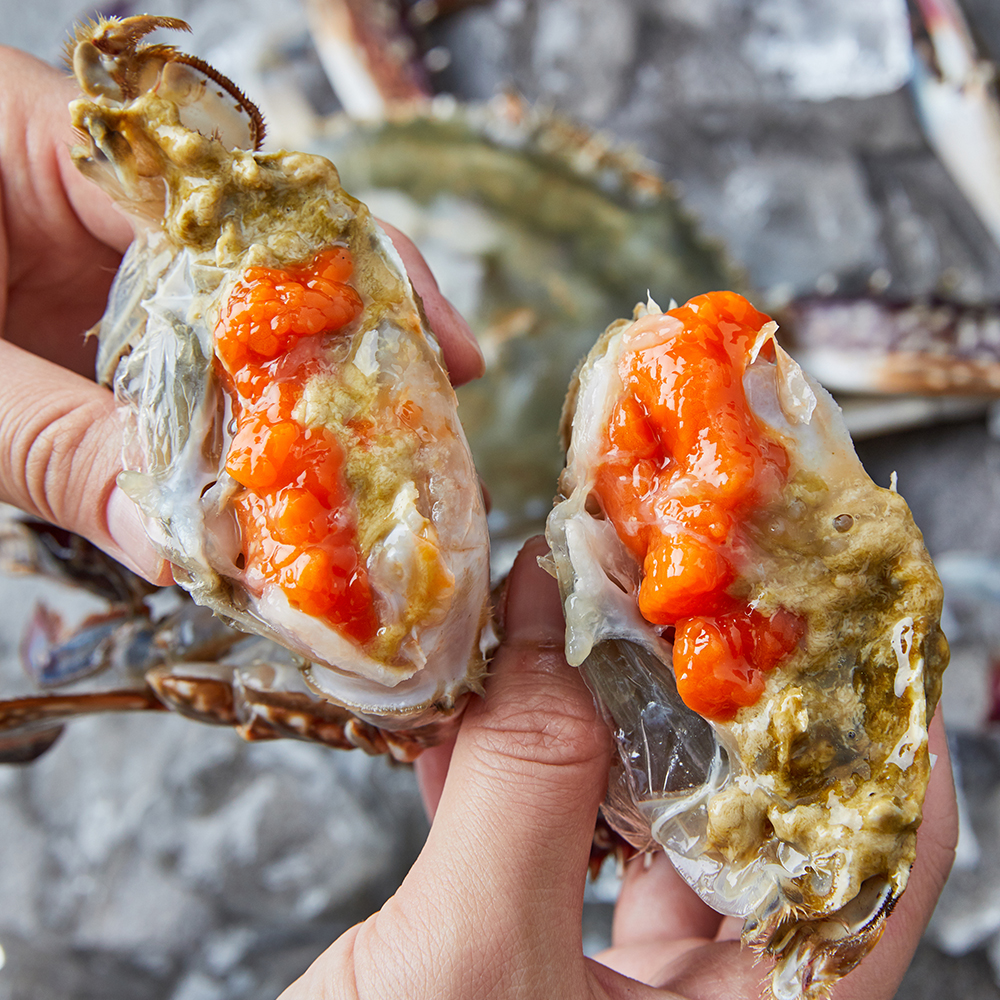 국내산 봄 제철 알베기 활 암꽃게 1kg 2kg