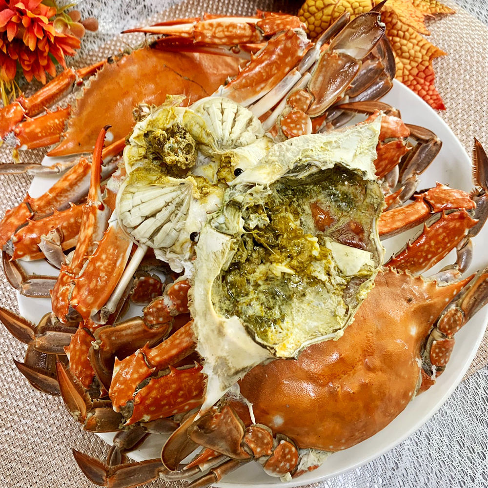 국내산 봄 제철 알베기 활 암꽃게 1kg 2kg