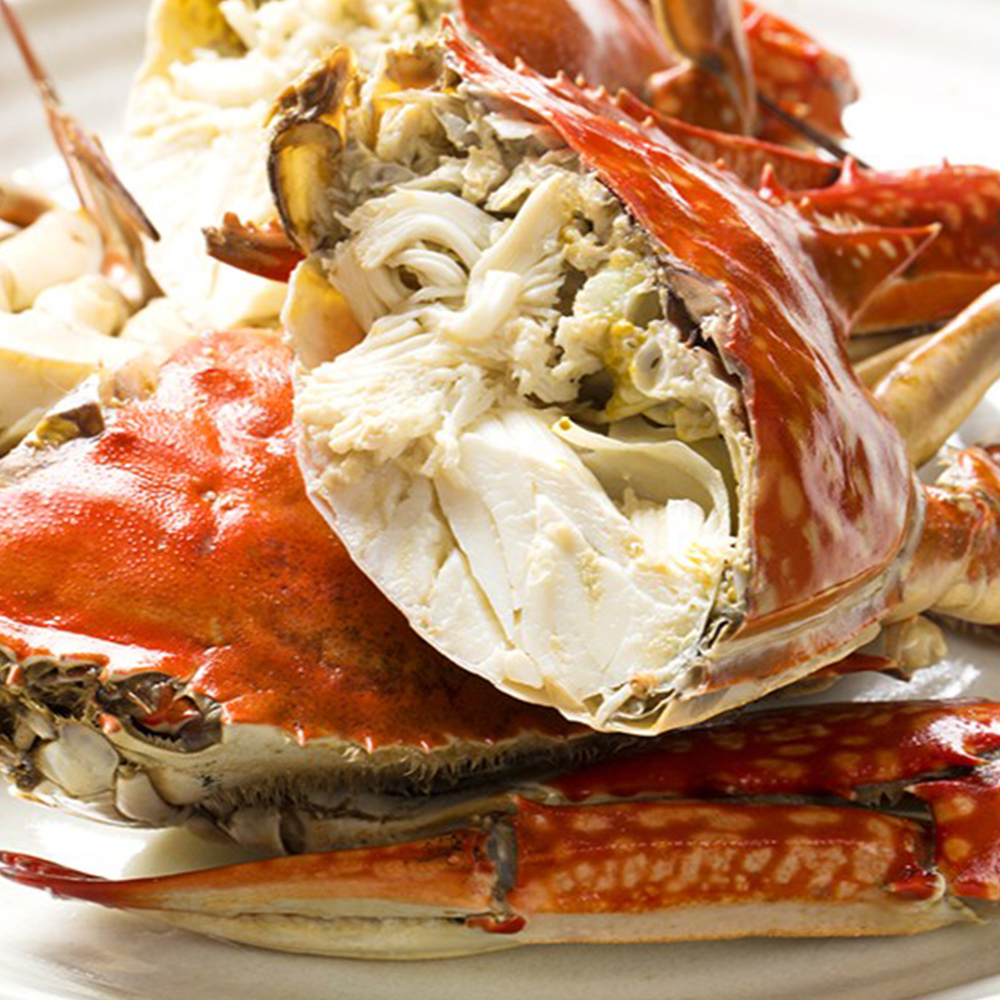 국내산 봄 제철 알베기 활 암꽃게 1kg 2kg