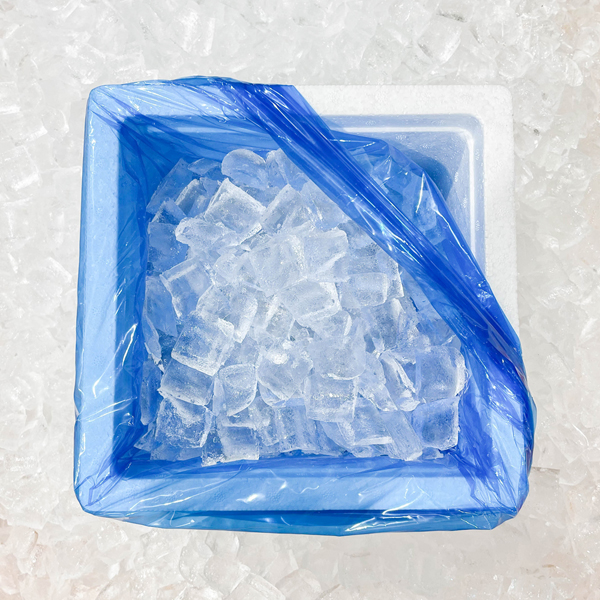 갯가재 쏙 1kg