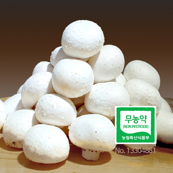 친환경 무농약 부여 양송이 버섯 500g 1kg 2kg 특품 선물용 가정용 꼬마 조리용 대표이미지 섬네일