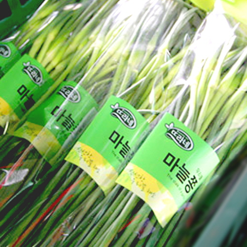 남해몰 햇 마늘종 500g 1kg 2kg 국내산 남해군 농협 제철 신선 봄나물 당일수확