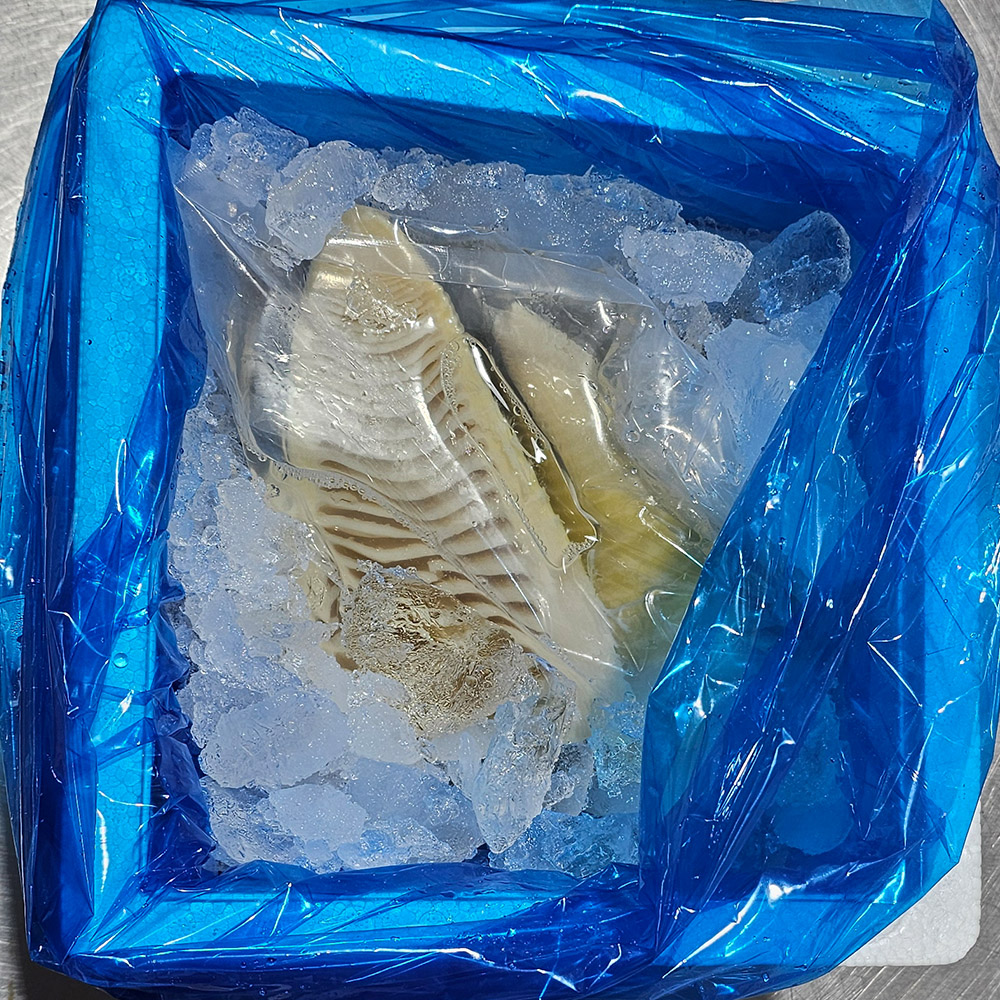 국내산 통영 거제도 맹종 삶은 죽순 500g 1kg