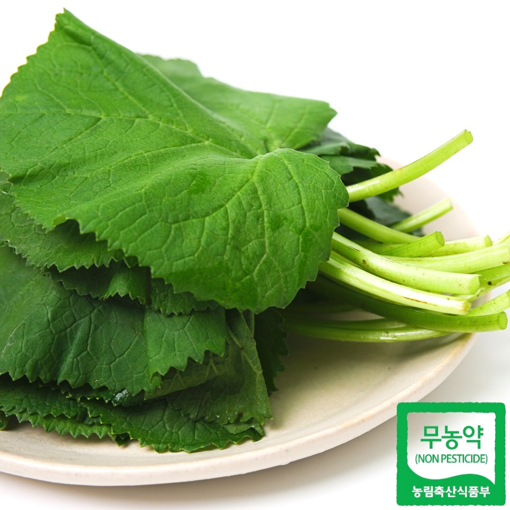 양구군산림조합 생 무농약 자연산 곰취나물 곤달비 100% 국산