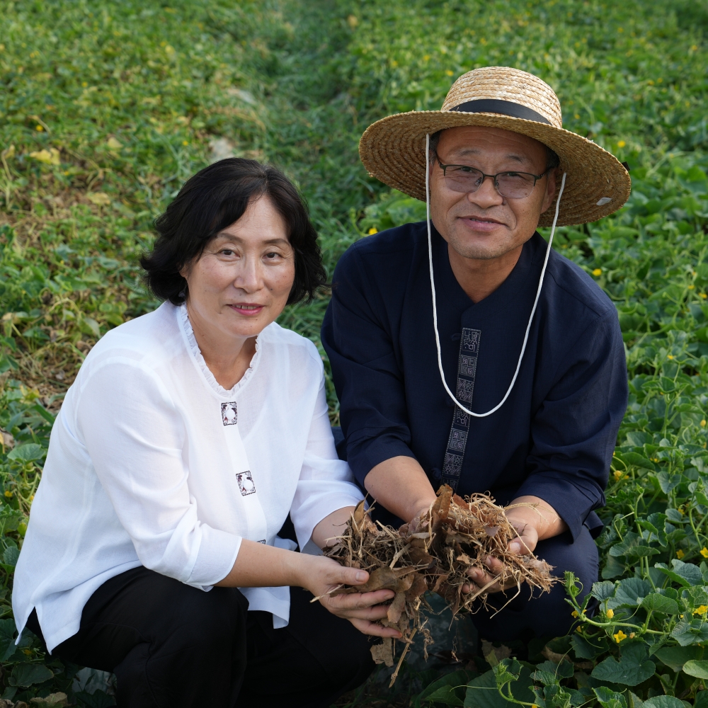 수양대군볏짚배양토 토댁 성주 참외 실속형 2.5kg